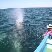 IMG 0001 2 (314)